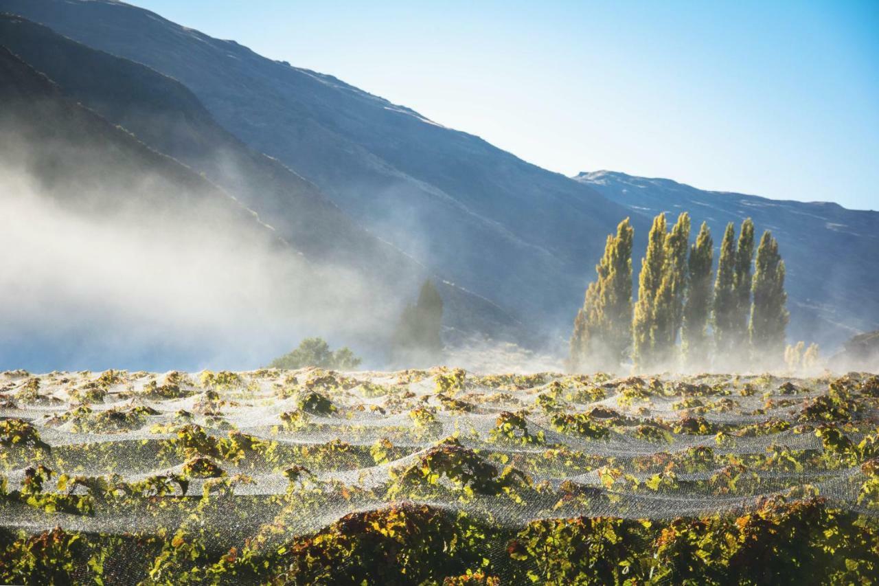 Gibbston Valley Lodge And Spa Queenstown Dış mekan fotoğraf